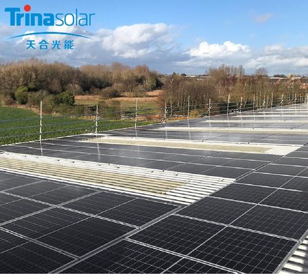 Solarenergiesystem Trina Solar TSM-NEG20C.20 620-645W Bifacial Mono Pv Solarmodul des Typs N